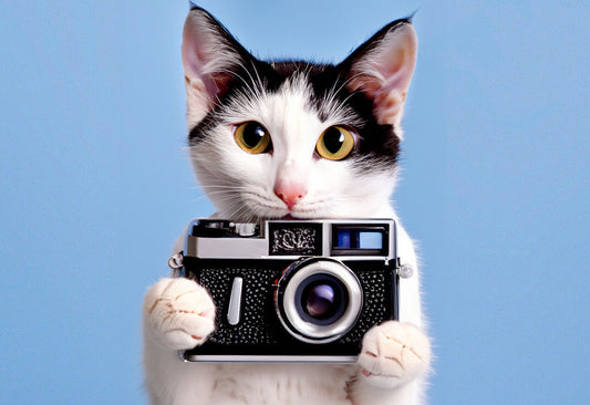 2023 Einkaufsführer für Tierfotografie | Wie Sie auswählen?